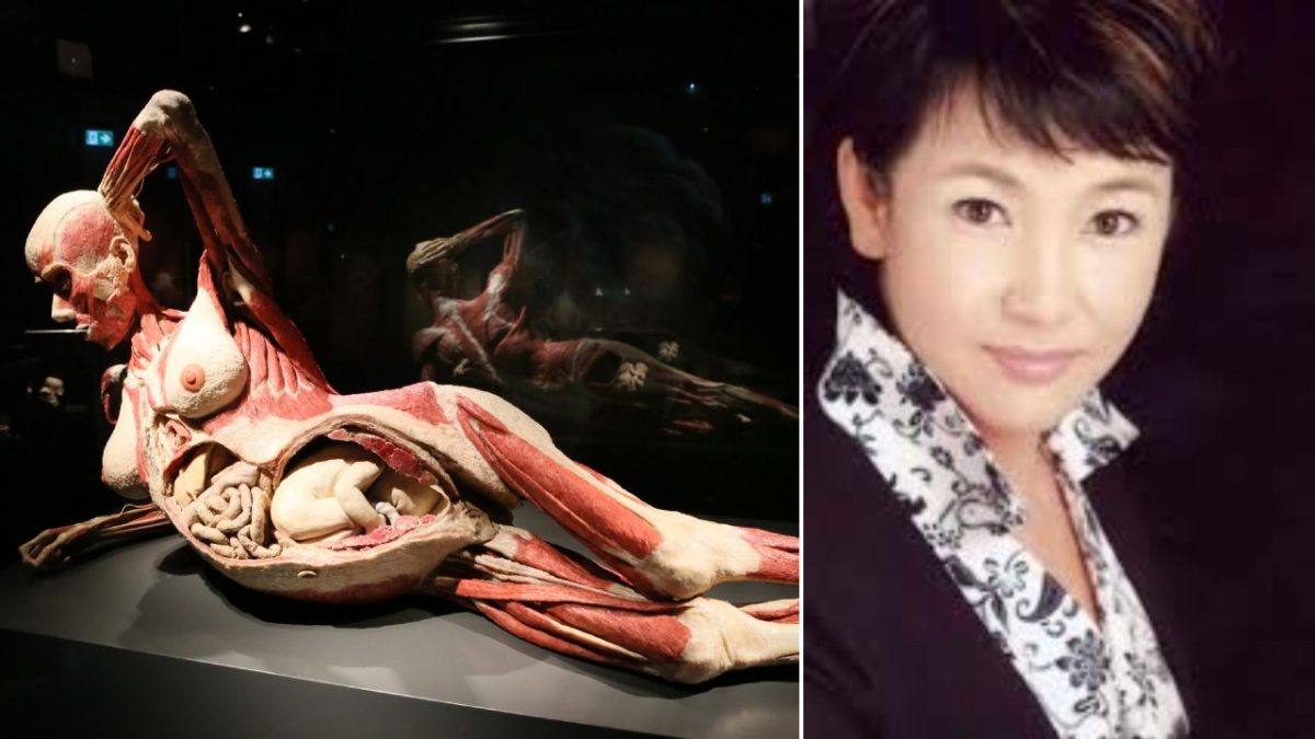 Zhang Weijie y Body Worlds