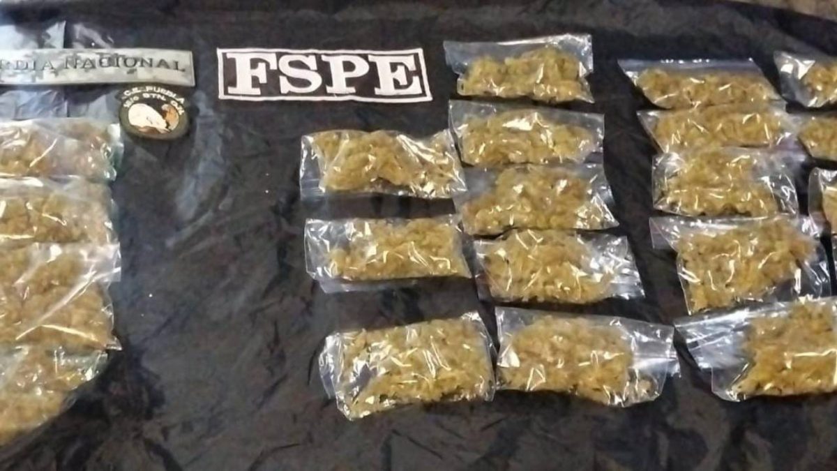 Detienen a joven con más de 600 gramos de marihuana en Irapuato
