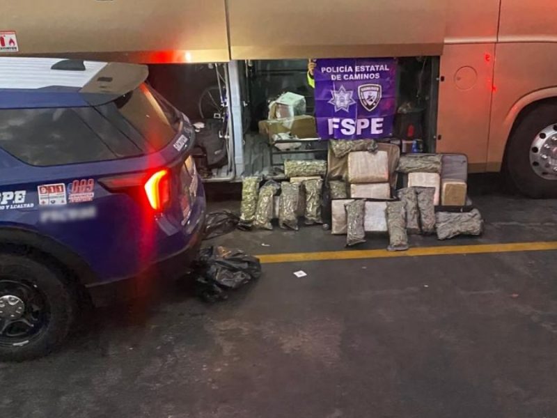 Policía Estatal de Caminos asegura más de 38 mil dosis de marihuana en el municipio de Salamanca