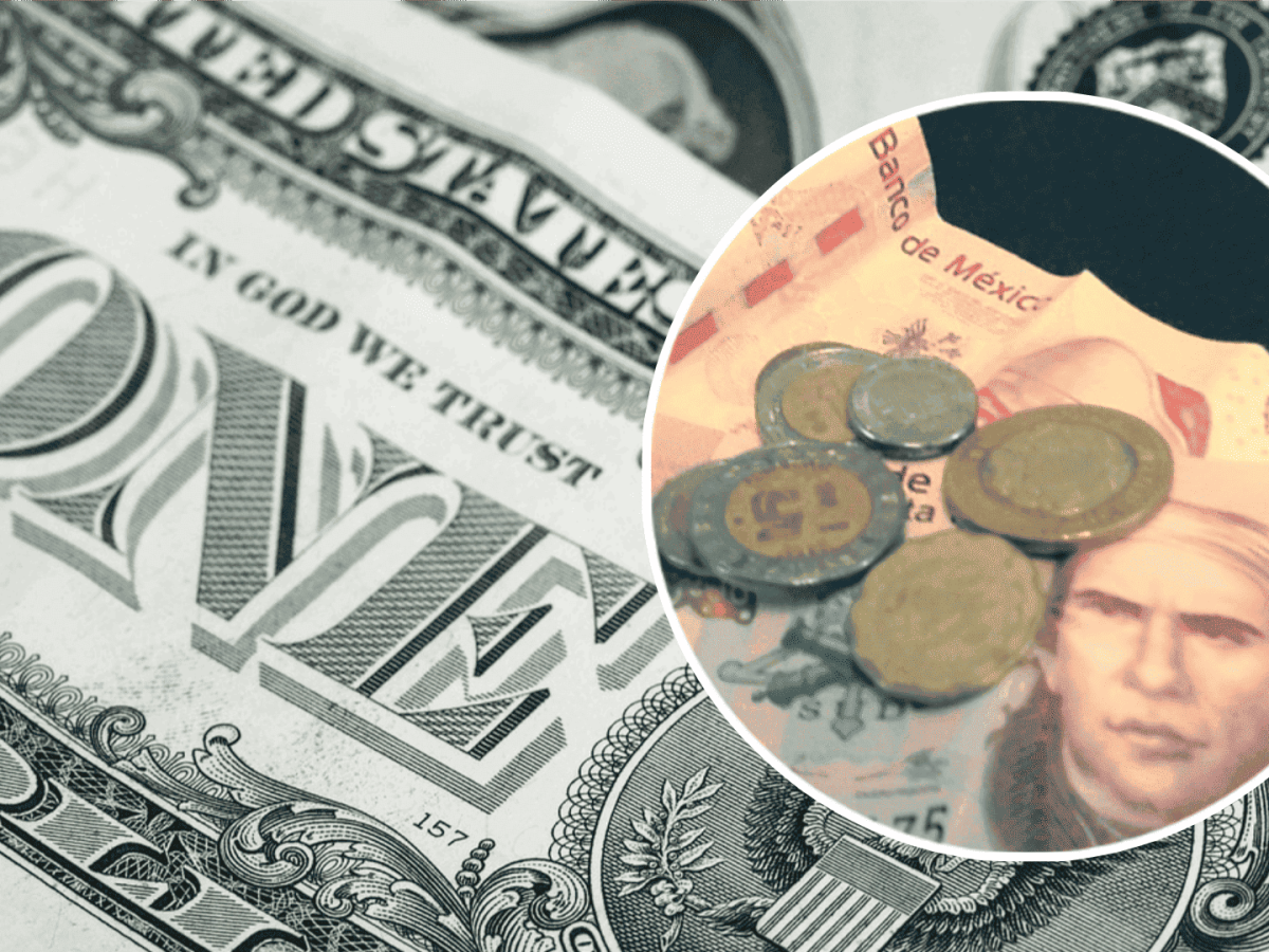 Peso amanece estable: Así cotiza el dólar este domingo 18 de enero